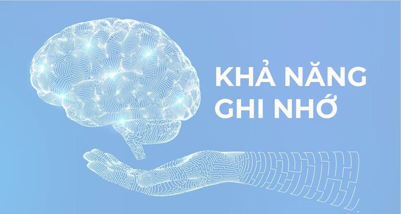 Bí Quyết Ghi Nhớ Nhanh - Phương Pháp Tăng Cường Trí Nhớ